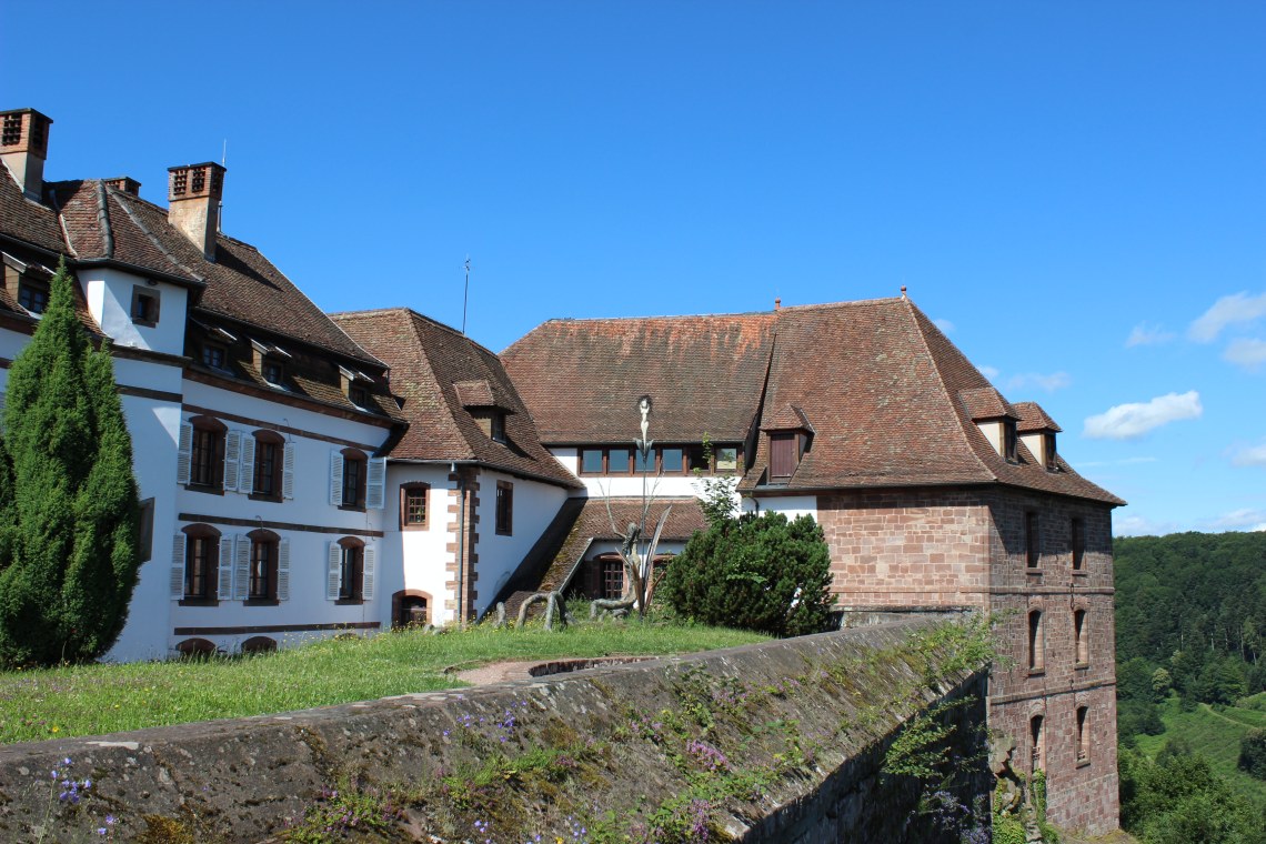 Bild 16